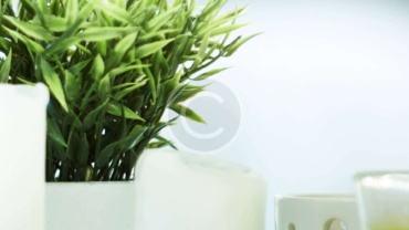 Service 15 copyright